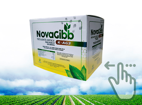 Bioestimulante NOVAGIBB (Giberelinas) 1 acido giberelico novafert